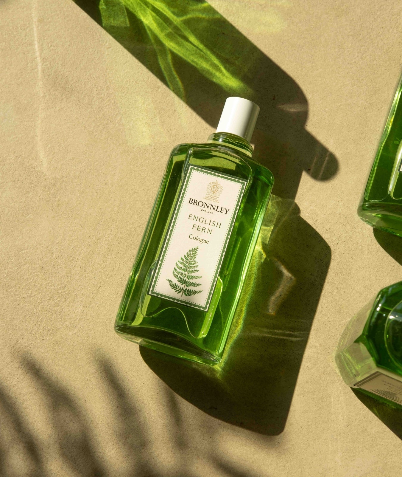 English Fern Cologne